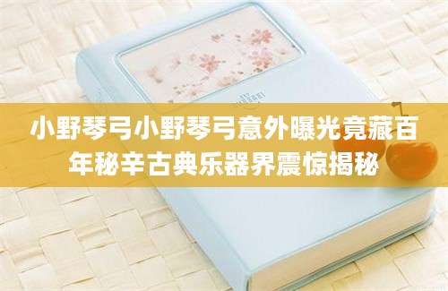小野琴弓小野琴弓意外曝光竟藏百年秘辛古典乐器界震惊揭秘