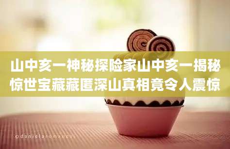 山中亥一神秘探险家山中亥一揭秘惊世宝藏藏匿深山真相竟令人震惊