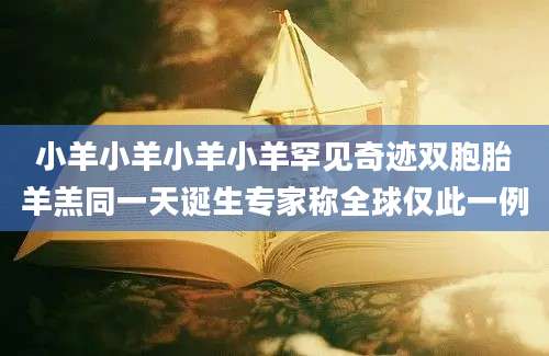 小羊小羊小羊小羊罕见奇迹双胞胎羊羔同一天诞生专家称全球仅此一例