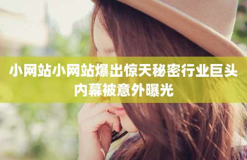 小网站小网站爆出惊天秘密行业巨头内幕被意外曝光