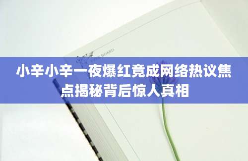 小辛小辛一夜爆红竟成网络热议焦点揭秘背后惊人真相