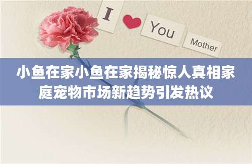 小鱼在家小鱼在家揭秘惊人真相家庭宠物市场新趋势引发热议