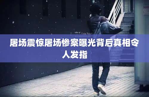 屠场震惊屠场惨案曝光背后真相令人发指
