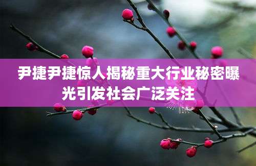 尹捷尹捷惊人揭秘重大行业秘密曝光引发社会广泛关注