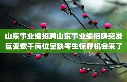 山东事业编招聘山东事业编招聘突发巨变数千岗位空缺考生惊呼机会来了
