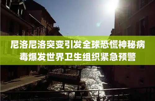 尼洛尼洛突变引发全球恐慌神秘病毒爆发世界卫生组织紧急预警