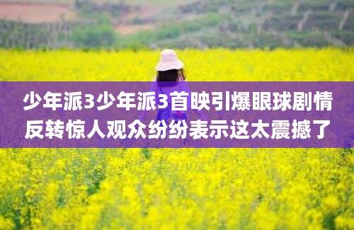 少年派3少年派3首映引爆眼球剧情反转惊人观众纷纷表示这太震撼了