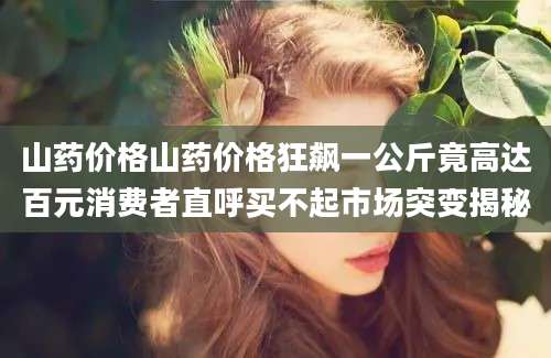 山药价格山药价格狂飙一公斤竟高达百元消费者直呼买不起市场突变揭秘