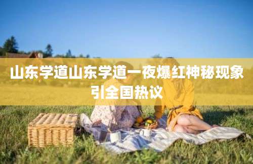 山东学道山东学道一夜爆红神秘现象引全国热议