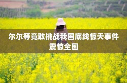 尔尔等竟敢挑战我国底线惊天事件震惊全国