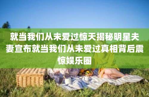 就当我们从未爱过惊天揭秘明星夫妻宣布就当我们从未爱过真相背后震惊娱乐圈