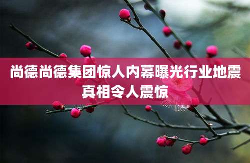 尚德尚德集团惊人内幕曝光行业地震真相令人震惊