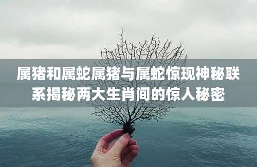 属猪和属蛇属猪与属蛇惊现神秘联系揭秘两大生肖间的惊人秘密