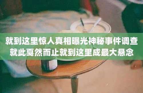 就到这里惊人真相曝光神秘事件调查就此戛然而止就到这里成最大悬念