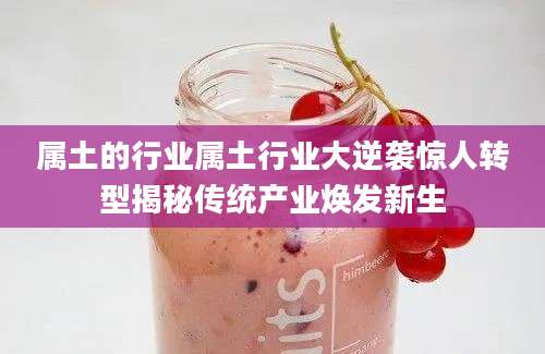 属土的行业属土行业大逆袭惊人转型揭秘传统产业焕发新生