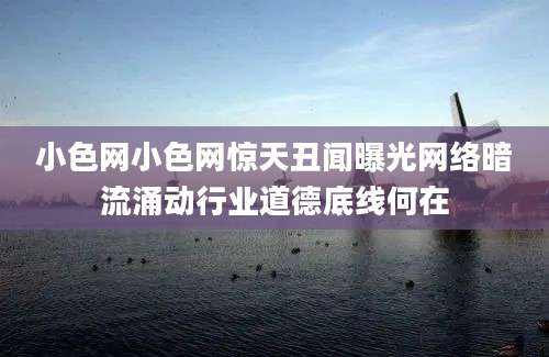 小色网小色网惊天丑闻曝光网络暗流涌动行业道德底线何在