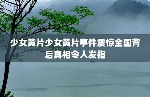 少女黄片少女黄片事件震惊全国背后真相令人发指