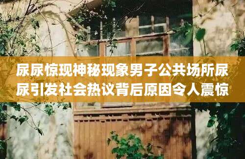 尿尿惊现神秘现象男子公共场所尿尿引发社会热议背后原因令人震惊