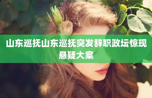 山东巡抚山东巡抚突发辞职政坛惊现悬疑大案