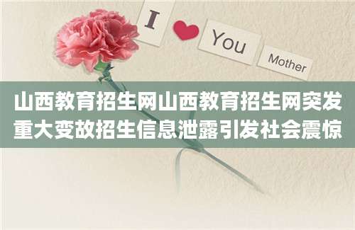 山西教育招生网山西教育招生网突发重大变故招生信息泄露引发社会震惊