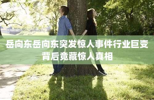 岳向东岳向东突发惊人事件行业巨变背后竟藏惊人真相