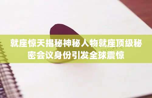 就座惊天揭秘神秘人物就座顶级秘密会议身份引发全球震惊