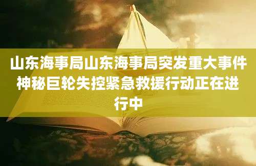 山东海事局山东海事局突发重大事件神秘巨轮失控紧急救援行动正在进行中
