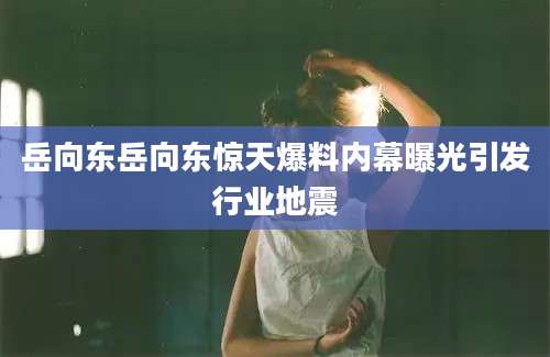 岳向东岳向东惊天爆料内幕曝光引发行业地震