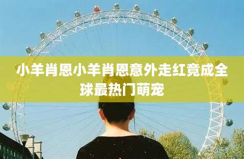 小羊肖恩小羊肖恩意外走红竟成全球最热门萌宠