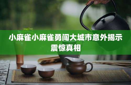小麻雀小麻雀勇闯大城市意外揭示震惊真相
