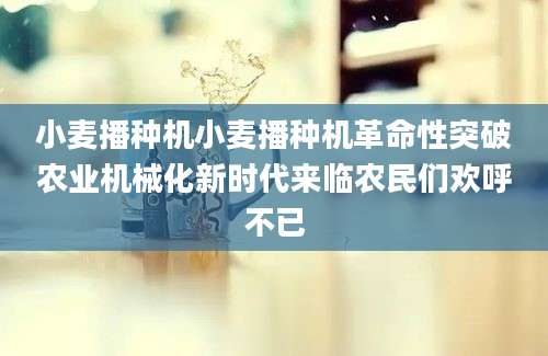 小麦播种机小麦播种机革命性突破农业机械化新时代来临农民们欢呼不已