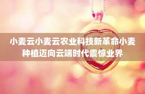 小麦云小麦云农业科技新革命小麦种植迈向云端时代震惊业界